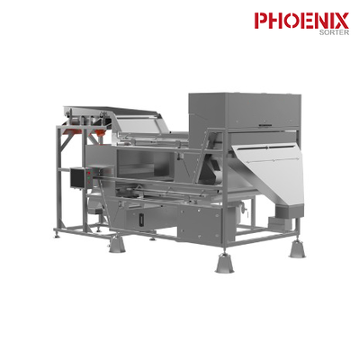 Cameria RGB 600mm Selezionatrice a nastro per colore 220V Selezionatrice per colore plastica