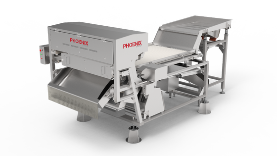 PHOENIX LX4‑B4 Series High‑End Intelligent Visual Sorter Single‑layer Belt Model Custom‑built For IQF Frozen Raspberry Sorting, Engineered To The Highest Hygiene Standards.