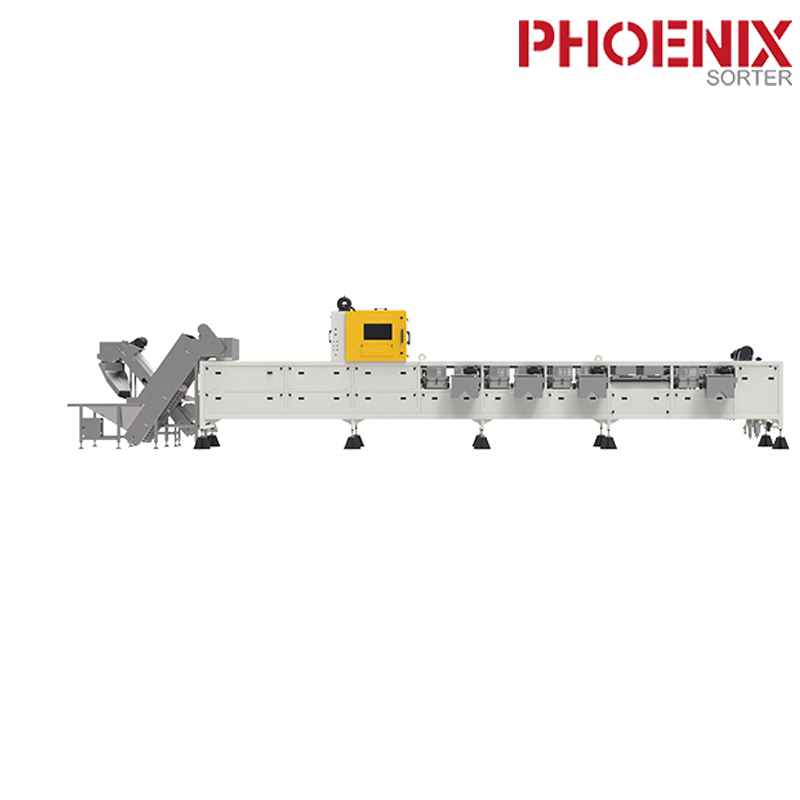 Customizable AI Grading Machine Inshell Walnut Sorter Machines