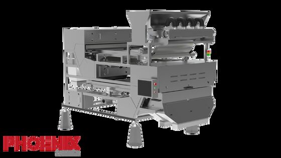 Harga bagus Tipe sabuk AI Sorter Cashew Grading Machine 256 Nozzles Kecepatan lambat on line