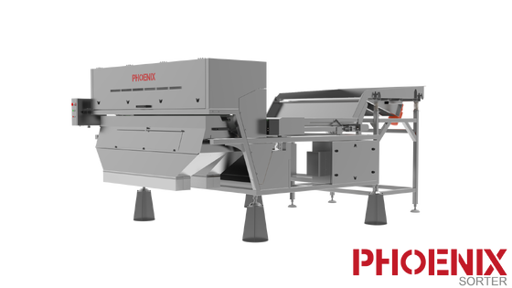 अच्छा दाम पीडब्ल्यू झींगा सॉर्टिंग मशीन 300 मिमी-1800 मिमी चौड़ाई बेल्ट टाइप कलर सॉर्टर ऑनलाइन