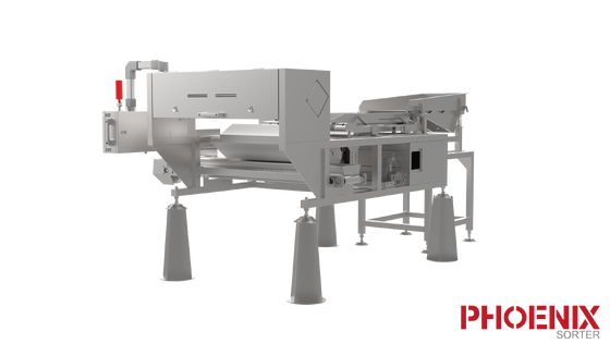 Prezzo buono HS AI-RGB AI Sorter RGB Vision Macchina di classificazione dei frutti Intelligente in linea