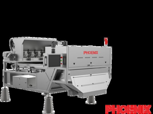 Prezzo buono Selezionatrice a nastro da 300 mm per verdure, attrezzatura per la classificazione di verdure disidratate in linea