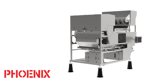 Good price 1200mm Belt Nuts Processing Machine 220V Cashew Sorting Machine online