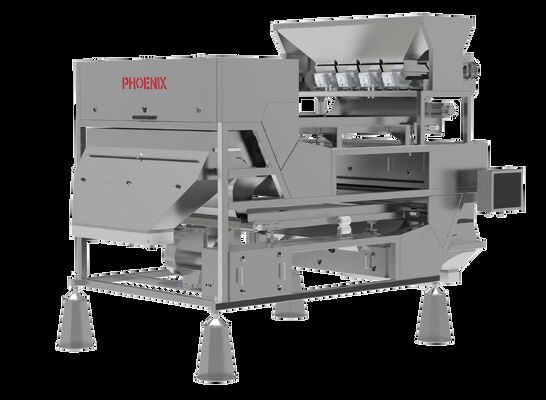 Good price AI Vision Sorting Device with Dual-Belt System for Hazelnuts Featuring Food-Grade Design and Flexible Capacity Options online